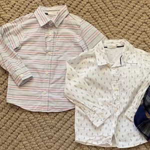 Toddler Boys Button downs